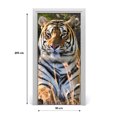 Samolepící fototapeta na dveře Tygr