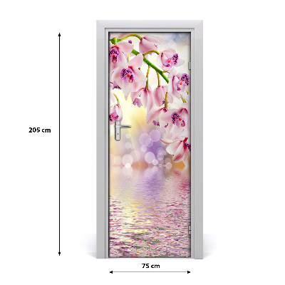 Fototapeta samolepící Orchidej