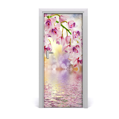 Fototapeta samolepící Orchidej
