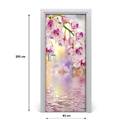 Fototapeta samolepící Orchidej