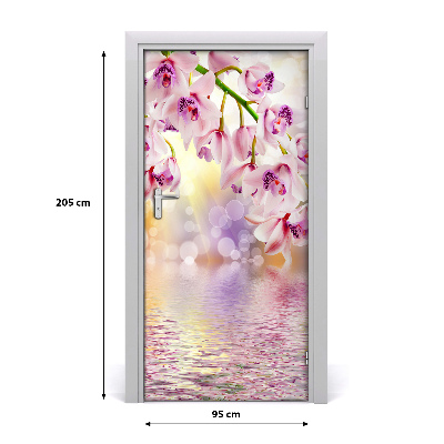 Fototapeta samolepící Orchidej