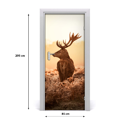 Samolepící fototapeta na dveře Jelen východ