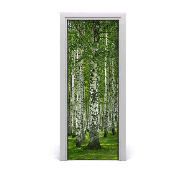 Fototapeta na dveře břízový les