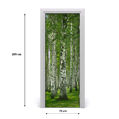 Fototapeta na dveře břízový les