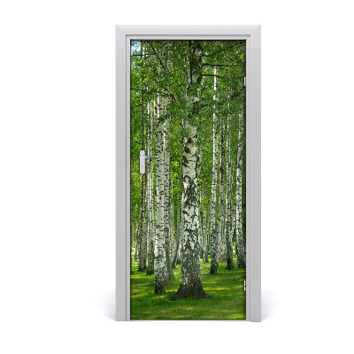 Fototapeta na dveře břízový les