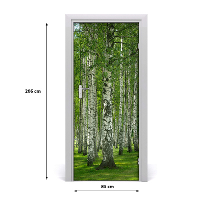 Fototapeta na dveře břízový les