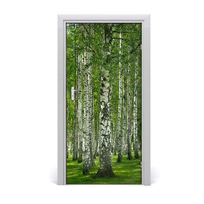 Fototapeta na dveře břízový les