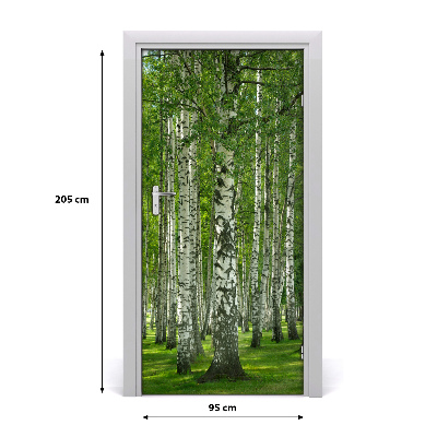 Fototapeta na dveře břízový les