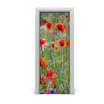 Fototapeta samolepící Polní mák