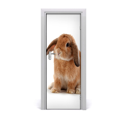 Samolepící fototapeta na dveře Králík