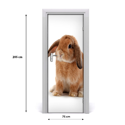 Samolepící fototapeta na dveře Králík