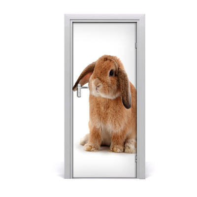 Samolepící fototapeta na dveře Králík