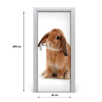 Samolepící fototapeta na dveře Králík