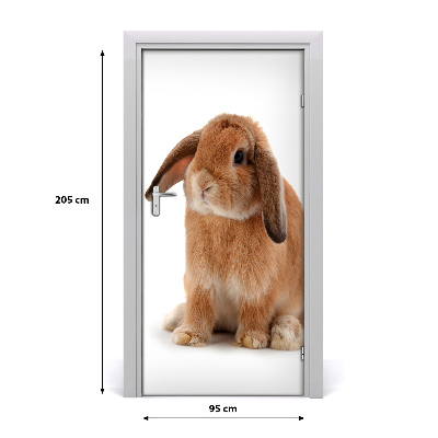 Samolepící fototapeta na dveře Králík