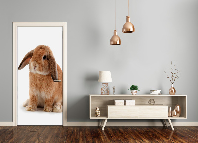 Samolepící fototapeta na dveře Králík
