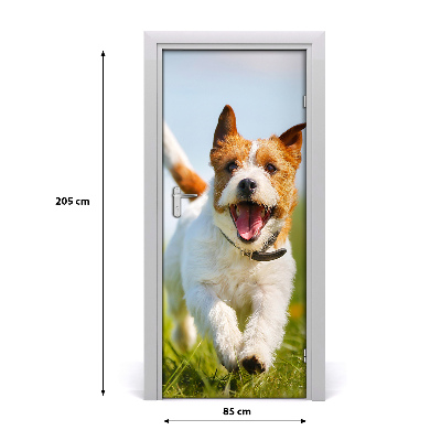 Samolepící fototapeta na dveře Jack Rusell