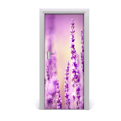 Fototapeta samolepící na dveře Levandule