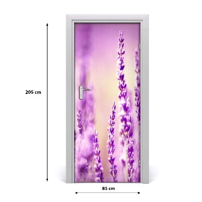 Fototapeta samolepící na dveře Levandule