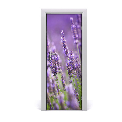 Fototapeta samolepící pole levandule
