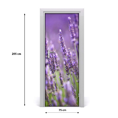 Fototapeta samolepící pole levandule