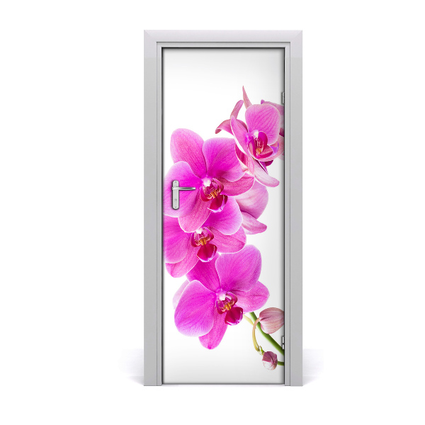 Fototapeta samolepící Růžová orchidej
