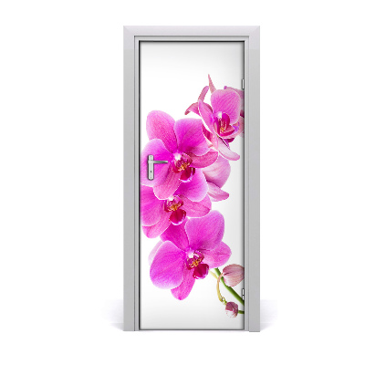 Fototapeta samolepící Růžová orchidej