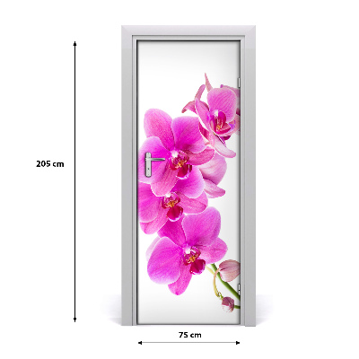 Fototapeta samolepící Růžová orchidej