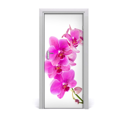 Fototapeta samolepící Růžová orchidej