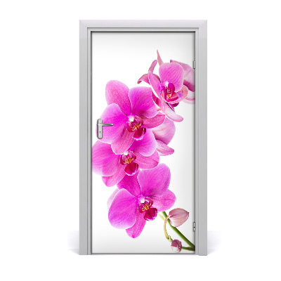 Fototapeta samolepící Růžová orchidej