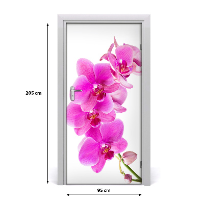 Fototapeta samolepící Růžová orchidej