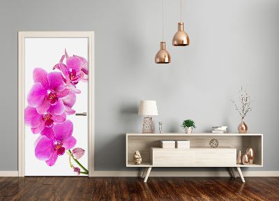 Fototapeta samolepící Růžová orchidej