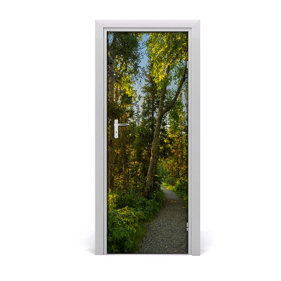 Fototapeta na dveře stezka v lese
