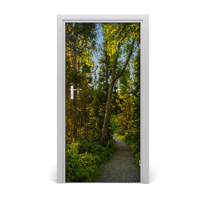 Fototapeta na dveře stezka v lese