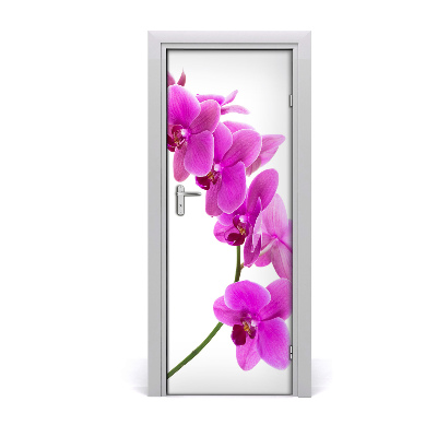 Fototapeta samolepící Růžová orchidej