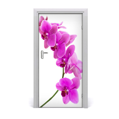 Fototapeta samolepící Růžová orchidej