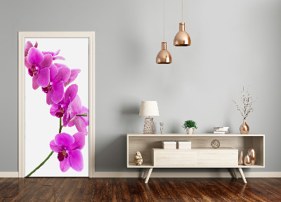 Fototapeta samolepící Růžová orchidej