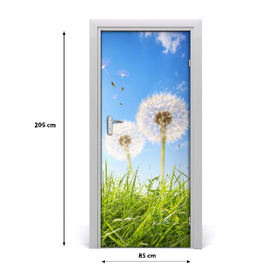 Fototapeta samolepící Pampelišky na louce