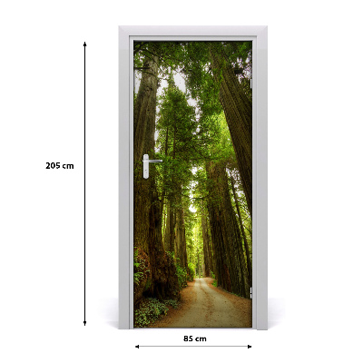 Fototapeta na dveře stezka v lese
