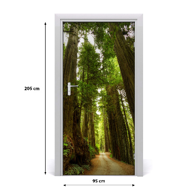 Fototapeta na dveře stezka v lese