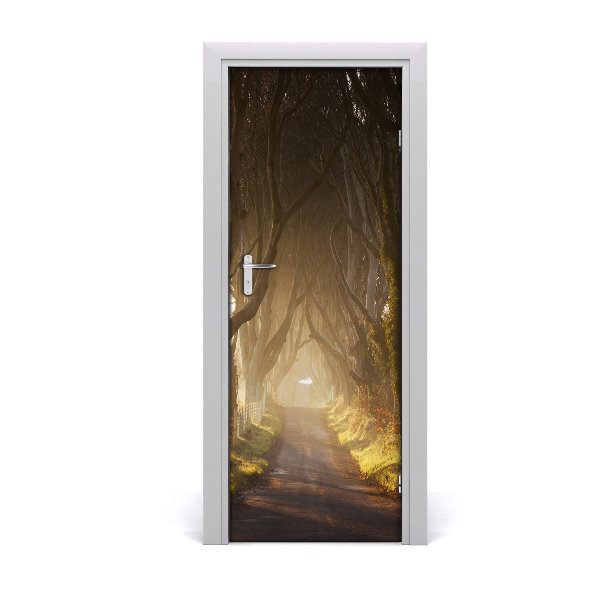 Fototapeta na dveře stezka v lese