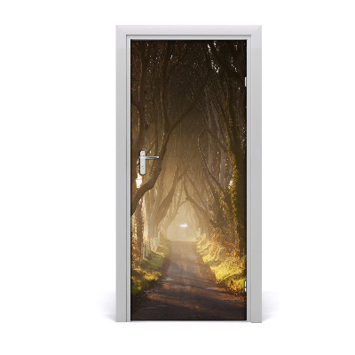 Fototapeta na dveře stezka v lese