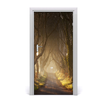Fototapeta na dveře stezka v lese