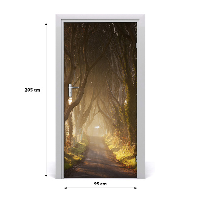 Fototapeta na dveře stezka v lese
