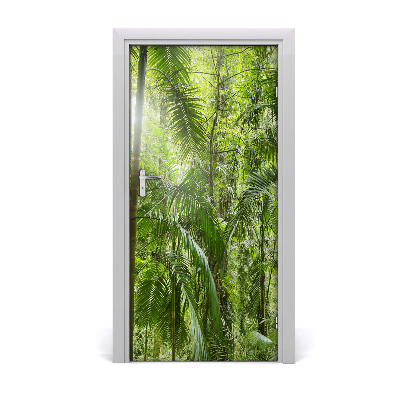 Fototapeta na dveře deštný les
