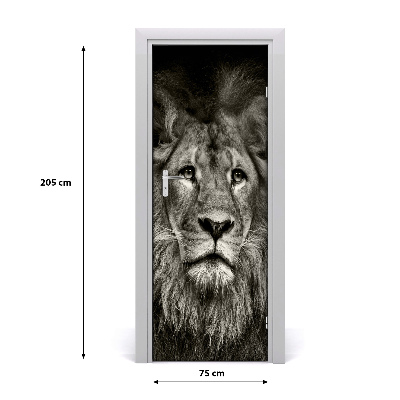 Samolepící fototapeta na dveře Lev