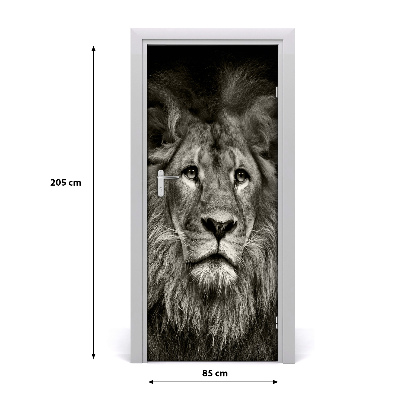 Samolepící fototapeta na dveře Lev
