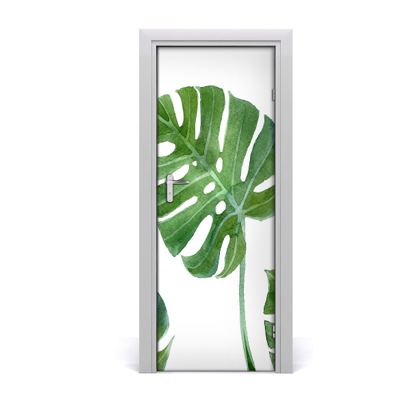 Samolepící fototapeta na dveře Monstera