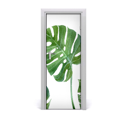 Samolepící fototapeta na dveře Monstera
