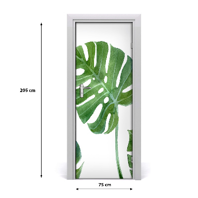 Samolepící fototapeta na dveře Monstera