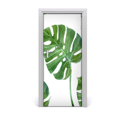Samolepící fototapeta na dveře Monstera